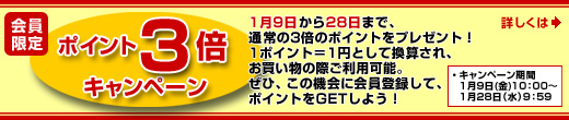 �|�C���g3�{�L�����y�[��