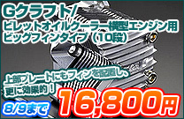 G�N���t�g/�r���b�g�I�C���N�[���[���^�G���W���p�r�b�O�t�B���^�C�v�i10�i�j