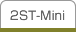 2ST-Mini