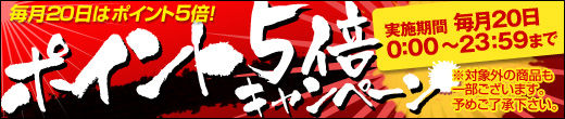 ����20���̓|�C���g5�{�I